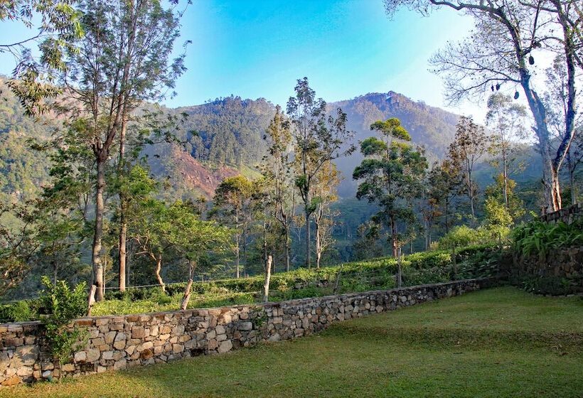 בית מלון כפרי The Planters House