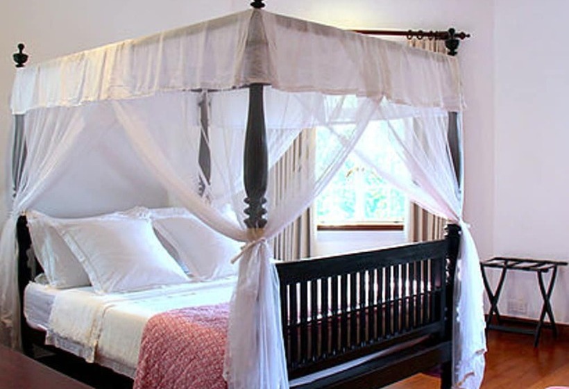 בית מלון כפרי The Planters House