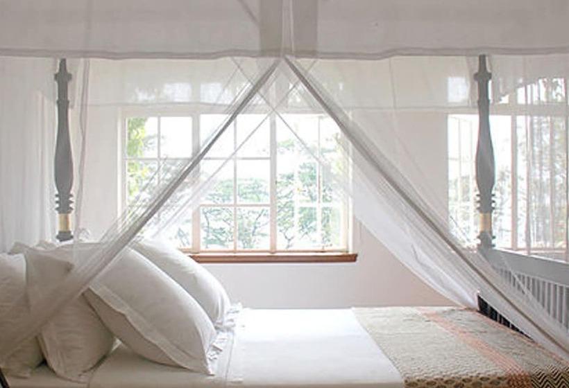 בית מלון כפרי The Planters House