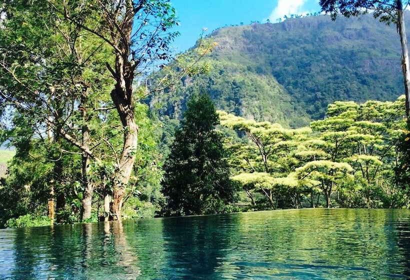 בית מלון כפרי The Planters House