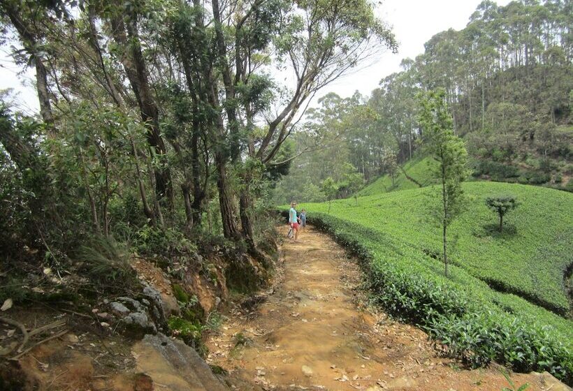 בית מלון כפרי The Planters House