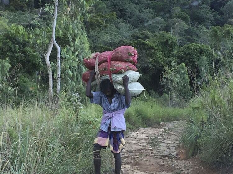 בית מלון כפרי The Planters House