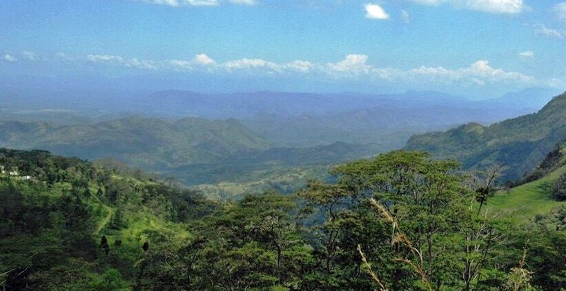 בית מלון כפרי The Planters House