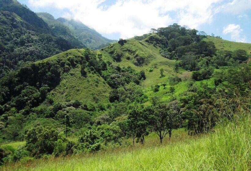 בית מלון כפרי The Planters House