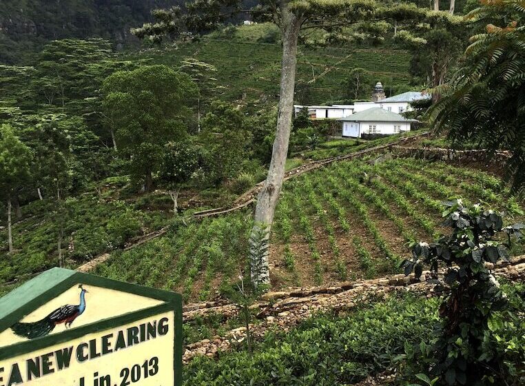 בית מלון כפרי The Planters House