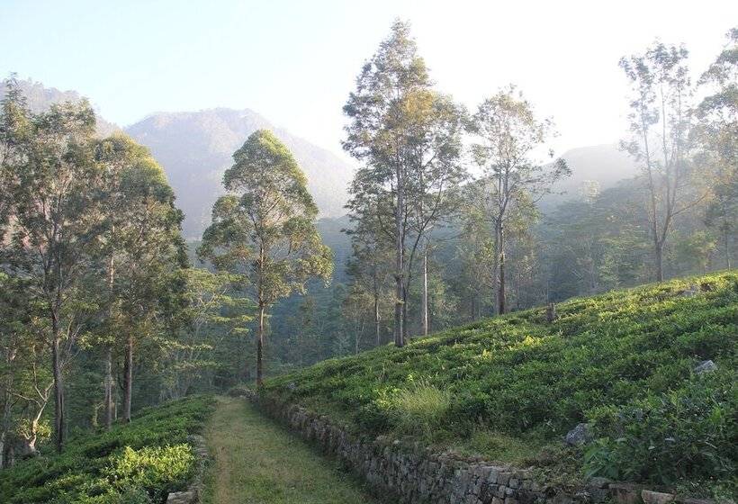 בית מלון כפרי The Planters House