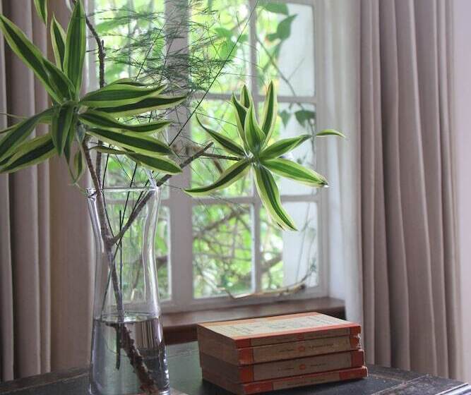 בית מלון כפרי The Planters House