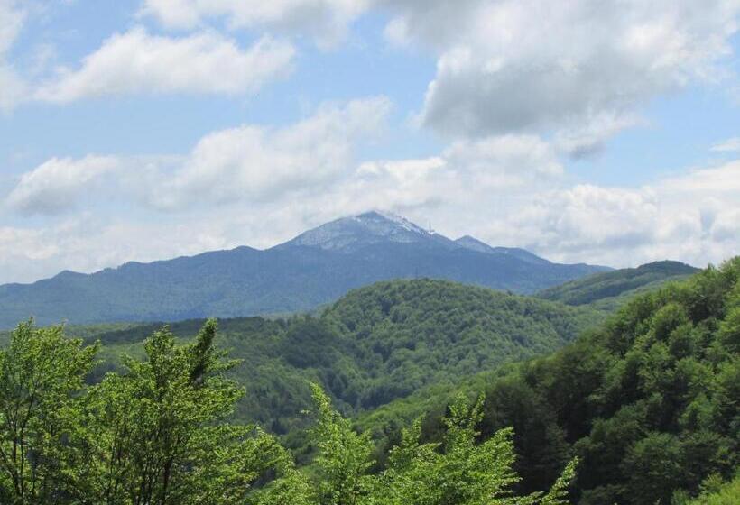 膳宿费 Pansion Breza