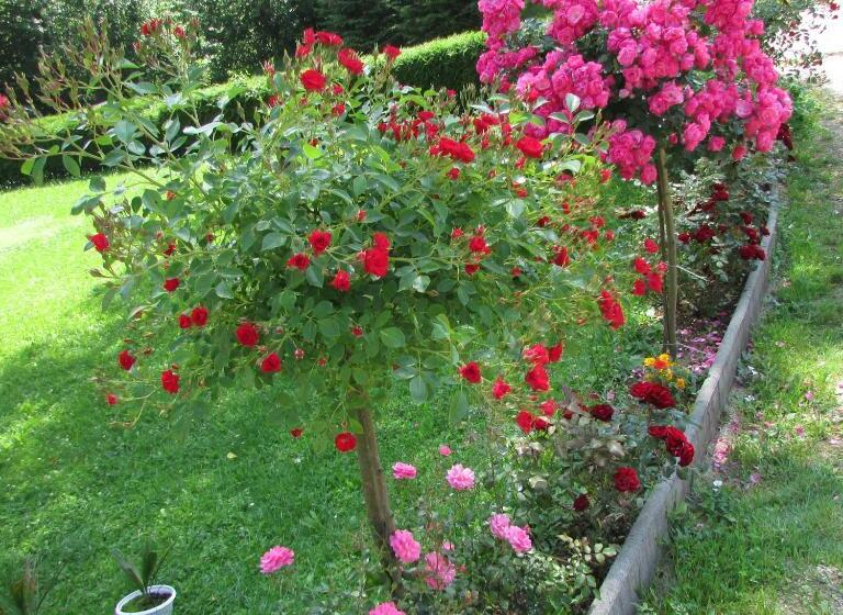 膳宿费 Pansion Breza