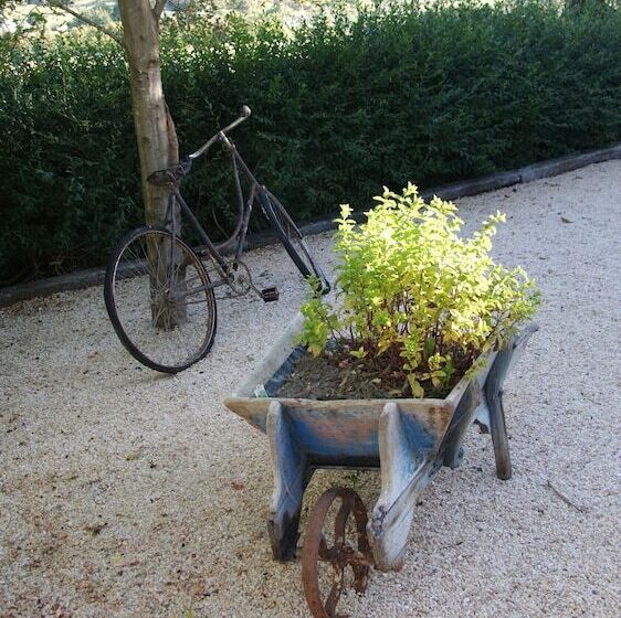 בית מלון כפרי The Birches Bed & Breakfast