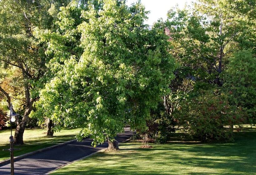 هتل The Birches Bed & Breakfast