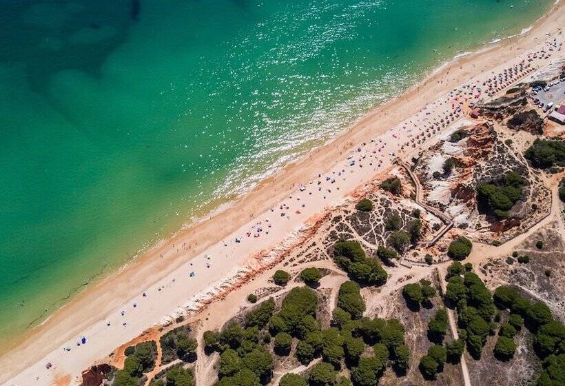 Algardia Marina Parque By Garvetur