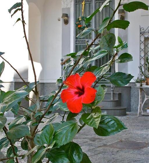 B&b La Corte