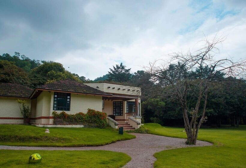 Bosques Del Sol Suites