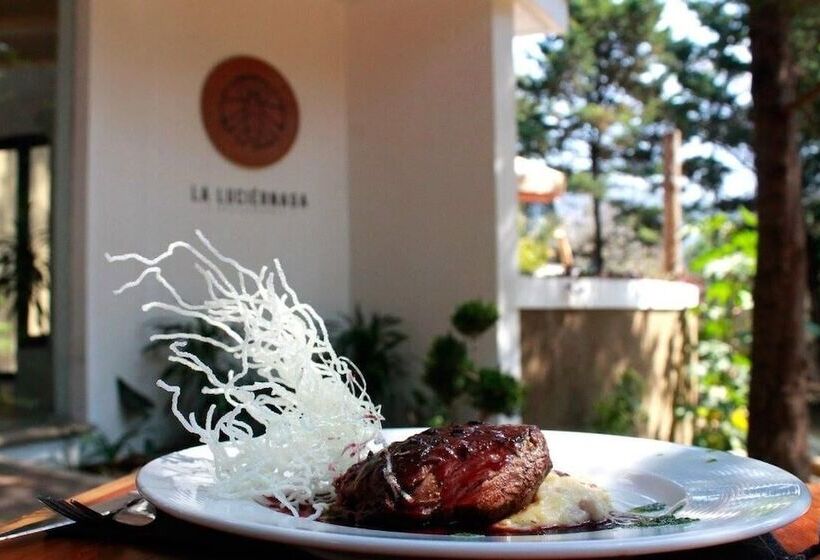 Bosques Del Sol Suites