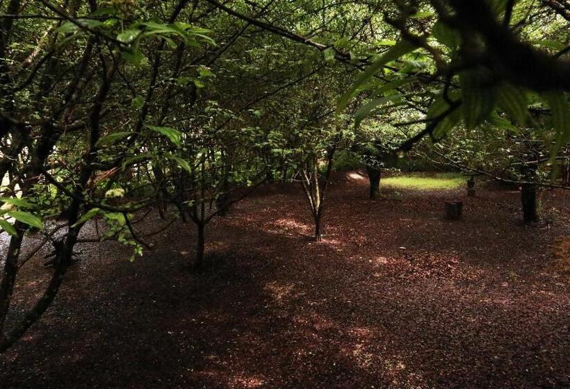 Bosques Del Sol Suites