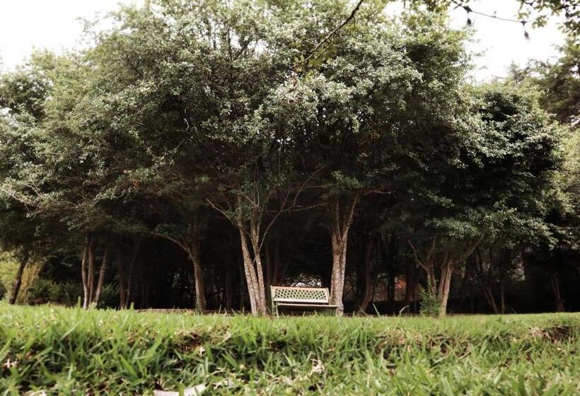 Bosques Del Sol Suites