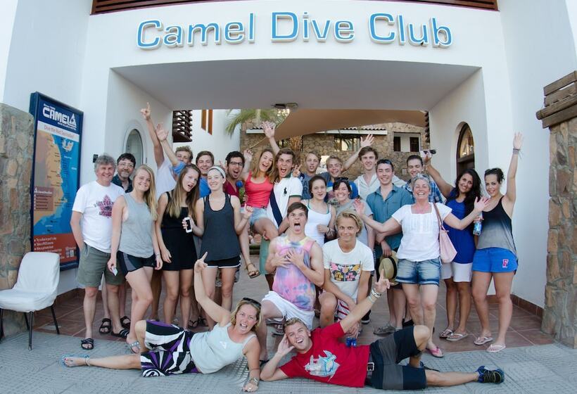 Camel Dive Club & Hotel   Boutique