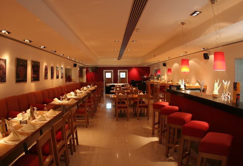 Camel Dive Club & Hotel   Boutique