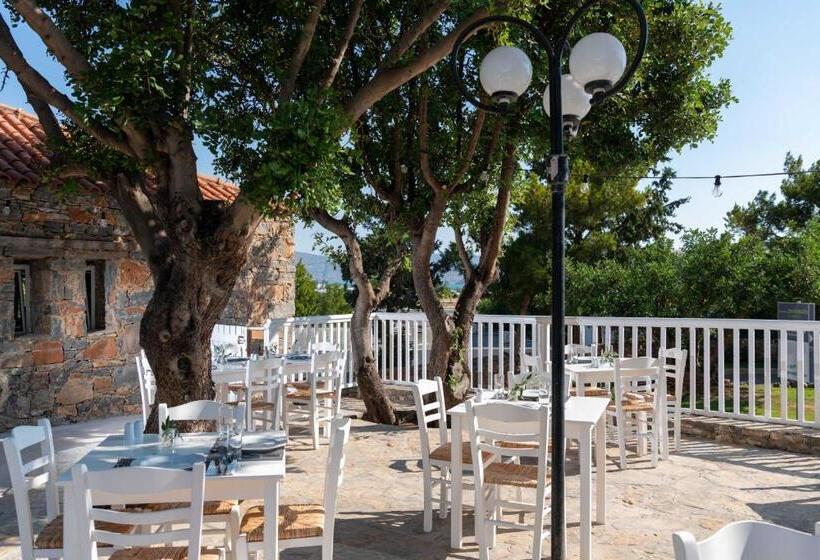 Elounda Breeze Resort   All Inclusive