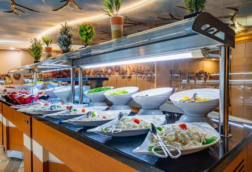 فندق Buyuk Velic