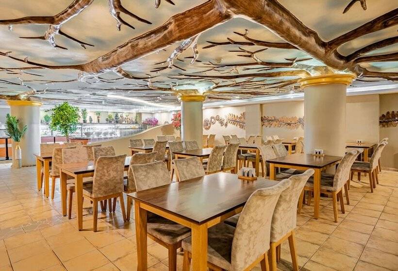 فندق Buyuk Velic