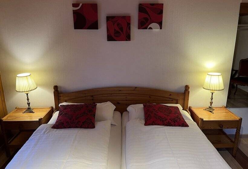 Historic Hotel Steinbock