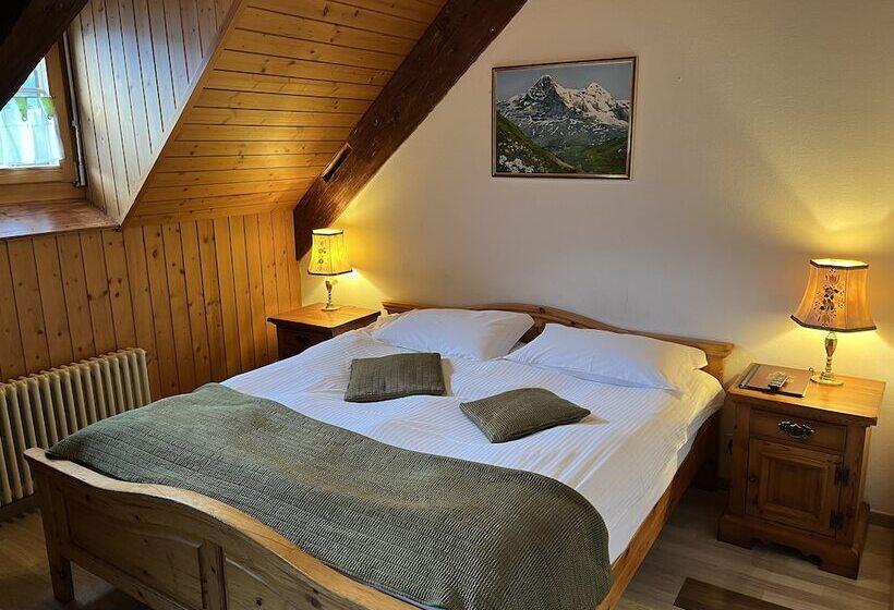 Historic Hotel Steinbock