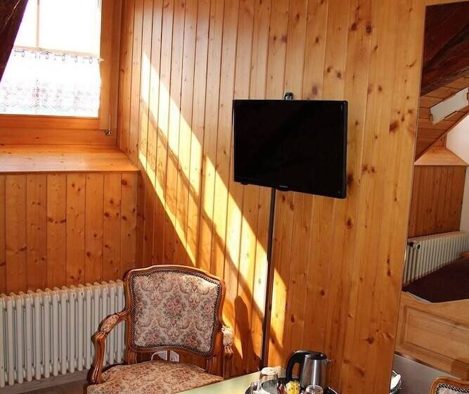 Historic Hotel Steinbock