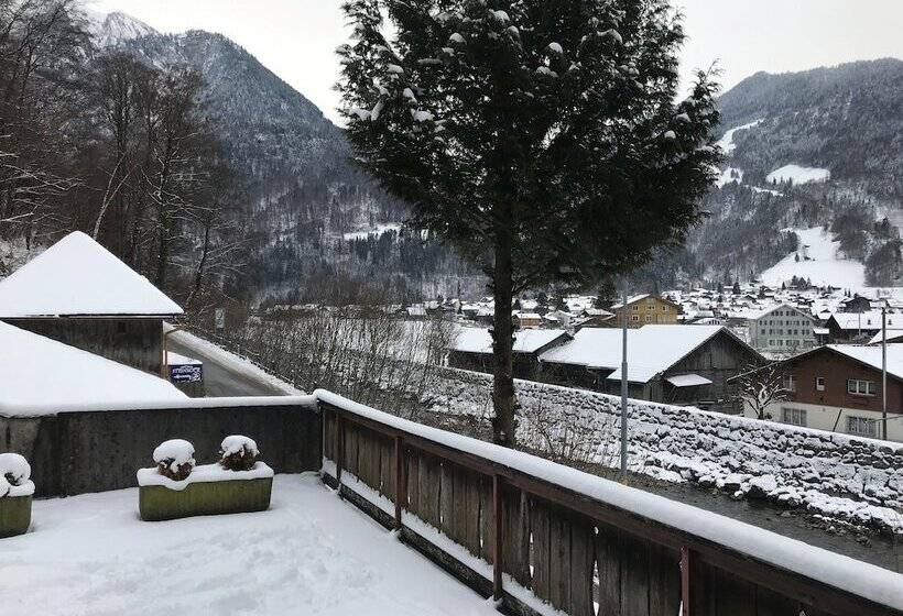 Historic Hotel Steinbock