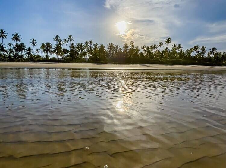 בית מלון כפרי Aldeia Da Mata Ecolodge