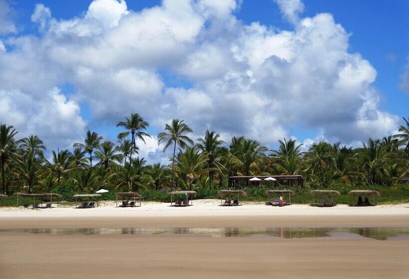 בית מלון כפרי Aldeia Da Mata Ecolodge