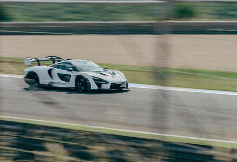 هتل Amazonia Estoril