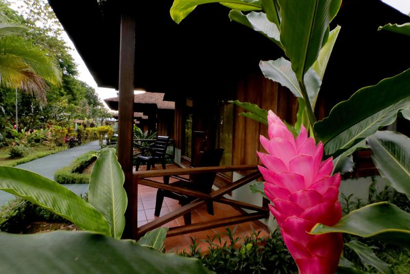 בית מלון כפרי Arenal Montechiari