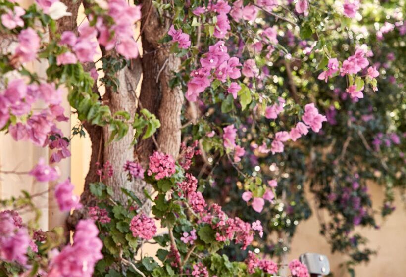 酒店 Candia Park Village