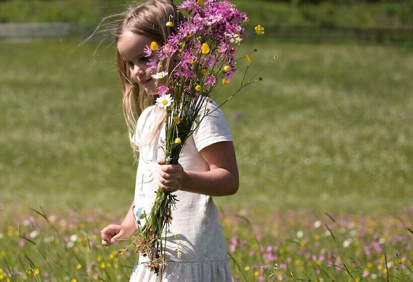 酒店 Der Tannenhof