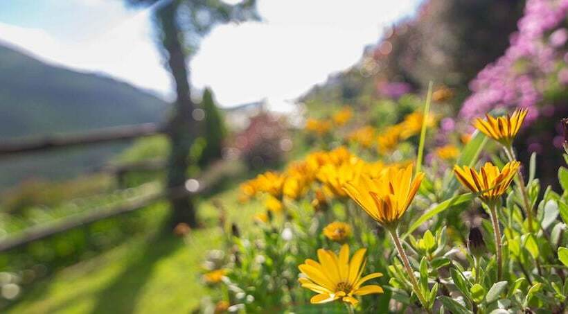 فندق El Bosque De Las Viñas