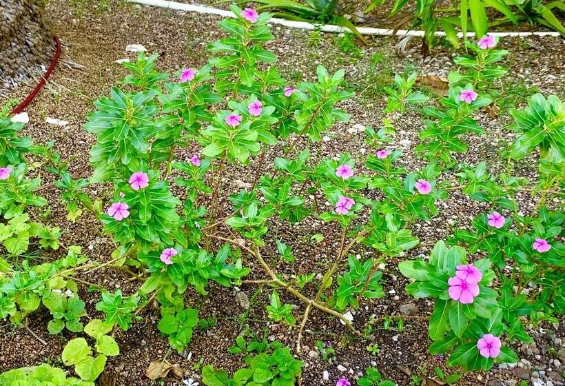 Eco Hotel Green River