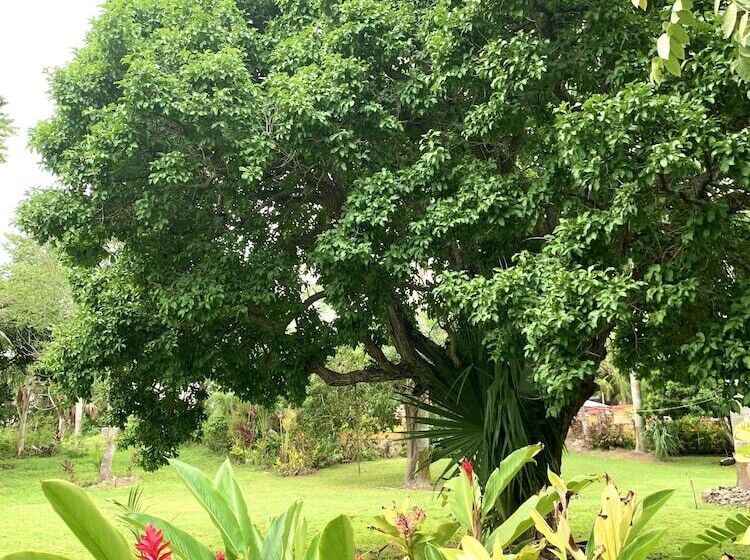 Eco Hotel Green River