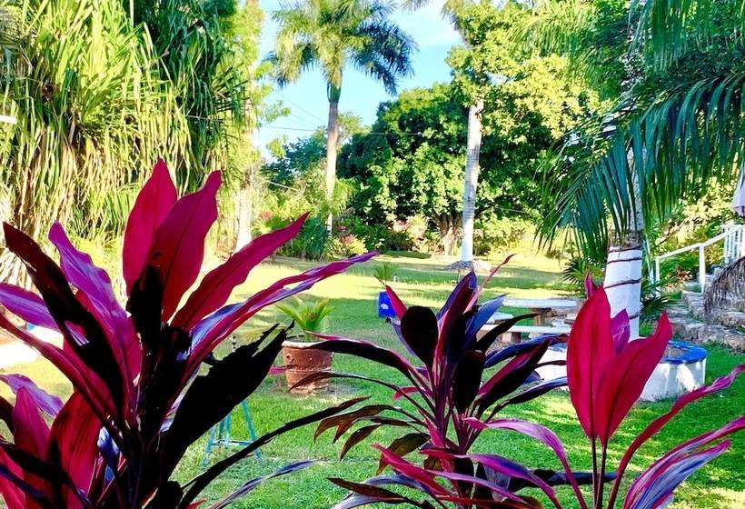 Eco Hotel Green River