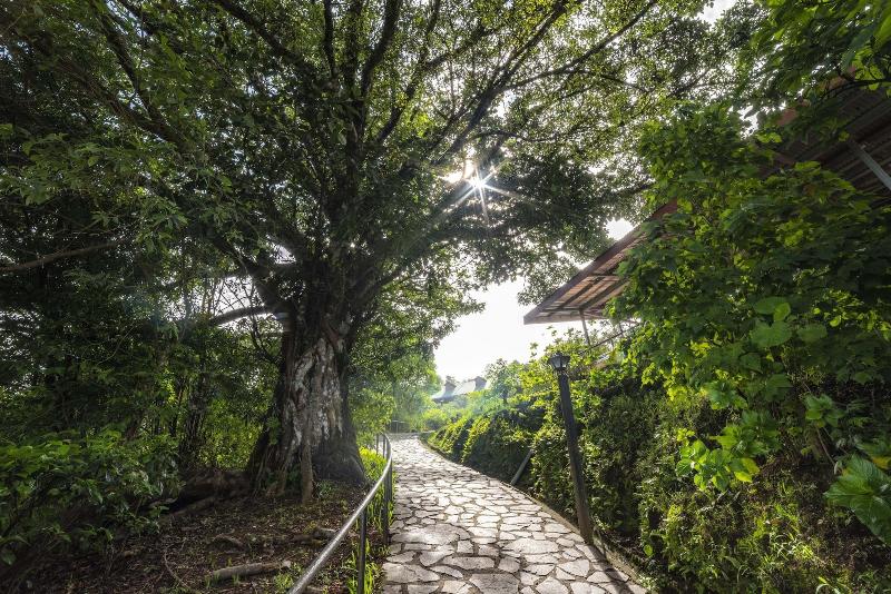 בית מלון כפרי Heliconia  Monteverde