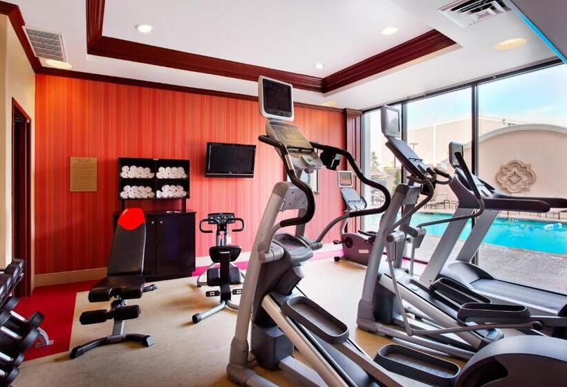 Отель Holiday Inn Express Dallas Medical Market Center