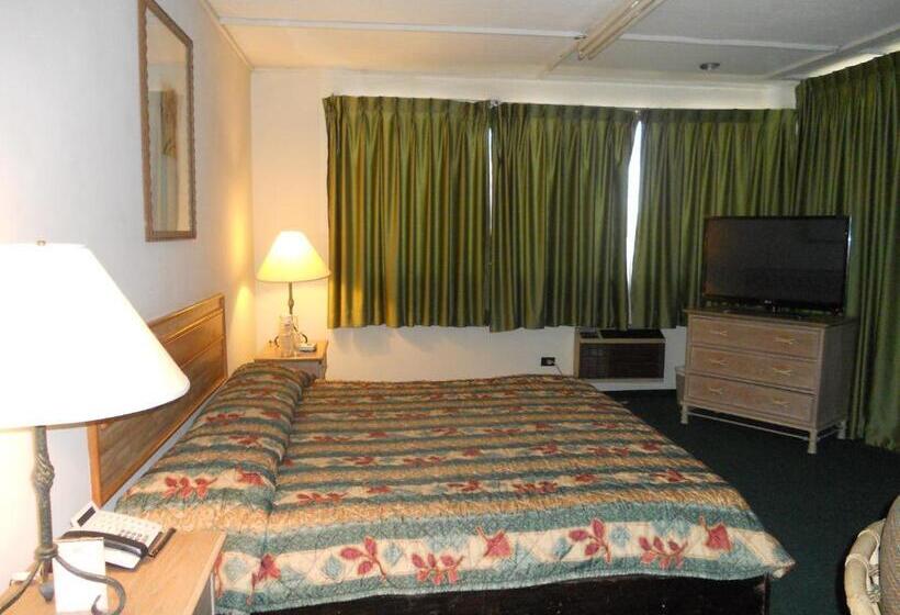 فندق Mediterráneo Plaza