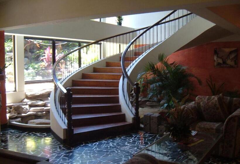 فندق Mediterráneo Plaza