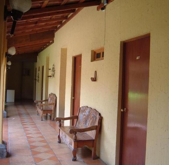 فندق Mediterráneo Plaza