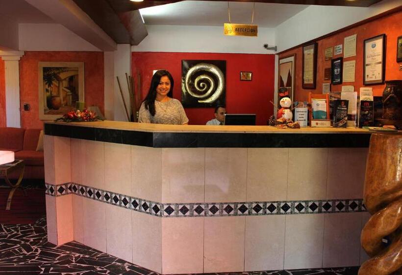 فندق Mediterráneo Plaza