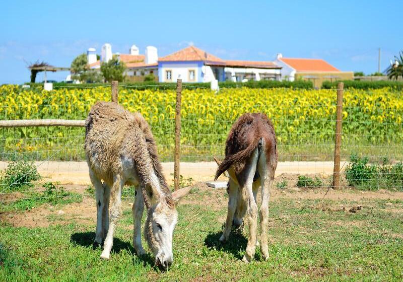 هتل روستایی Herdade Do Touril