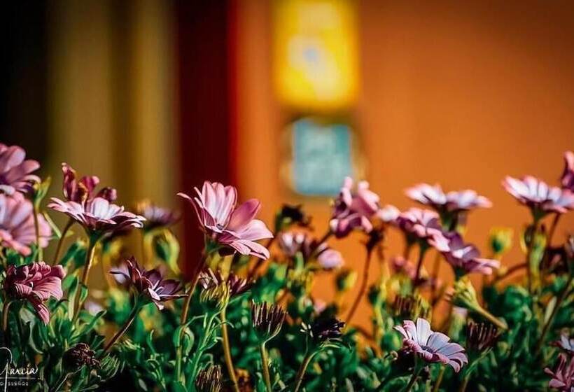 田舎風ホテル Mi Norte