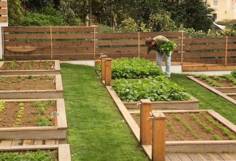 هتل روستایی Quinta Da Abelheira