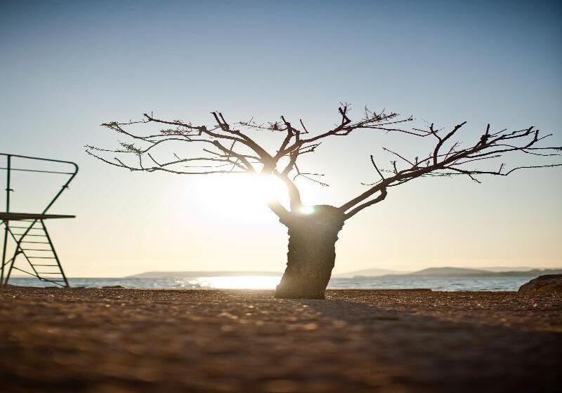 בית מלון כפרי San Antonio